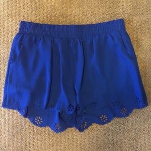 Royal Blue Shorts